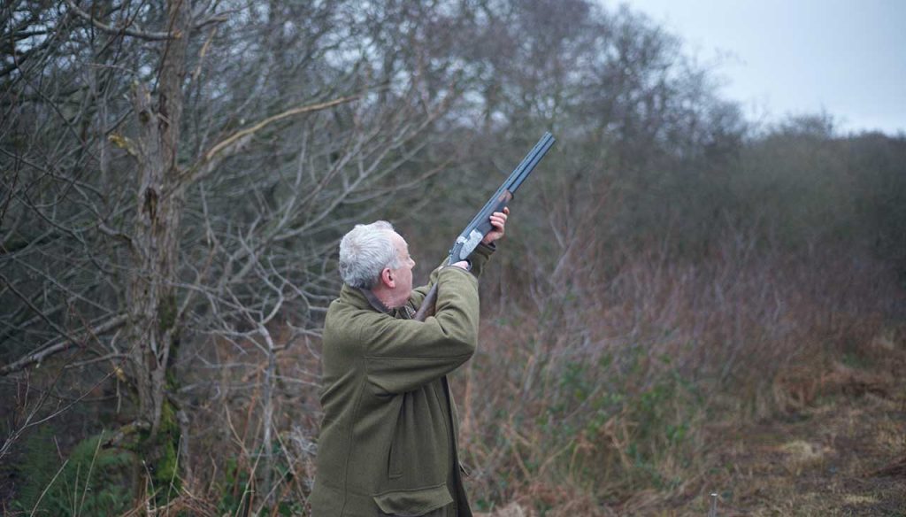 Top Deer Hunting Spots in Colorado & Expert Tips